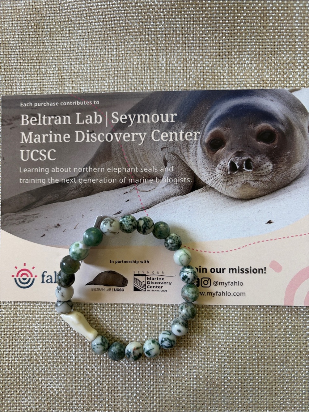 Fahlo Seal Seagreen Beaded Stretch Bracelet (NWT)